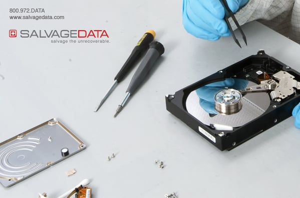 SALVAGEDATA Recovery Services