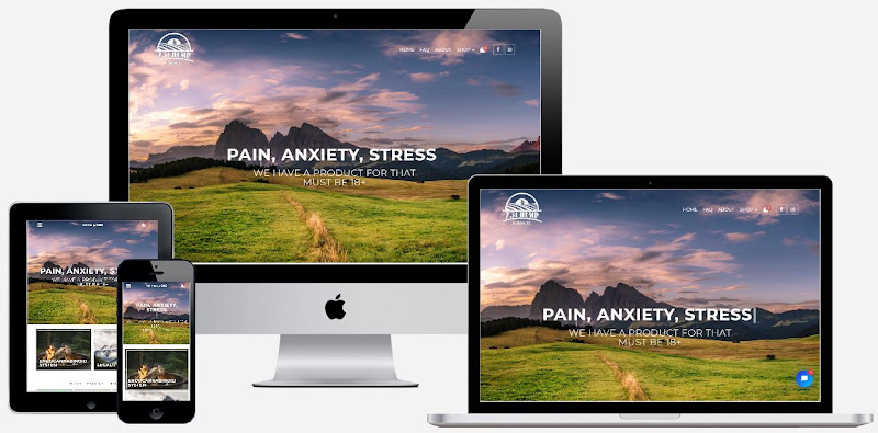 Professional Technology Solutions