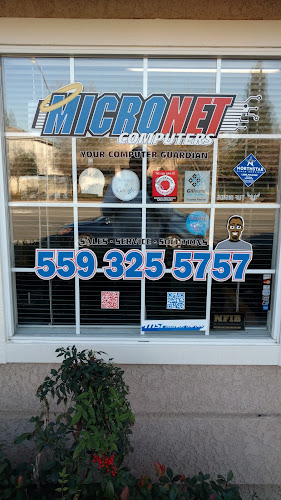 Micronet
