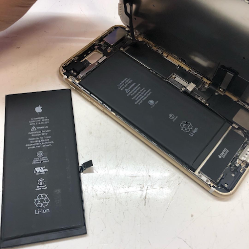 Jay Reece Cellular Repair