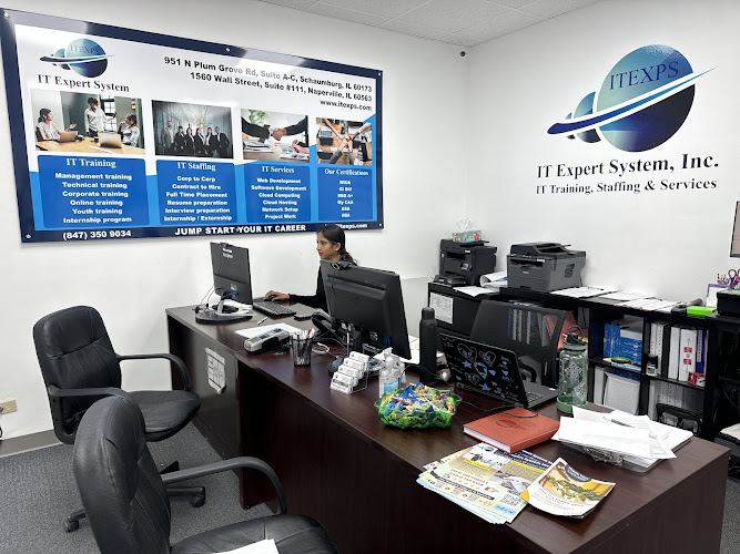 IT Expert System, INC